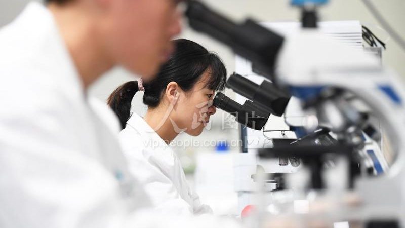 PCR离心管：揭秘其背后的科学与应用