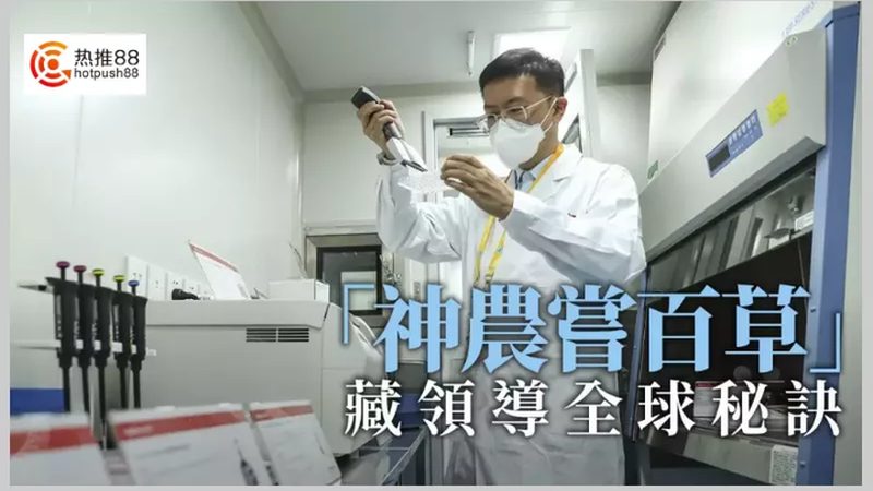D细胞培养：北京服务的关键要素与挑战**