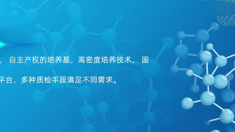 实验室玻璃仪器品牌对比
