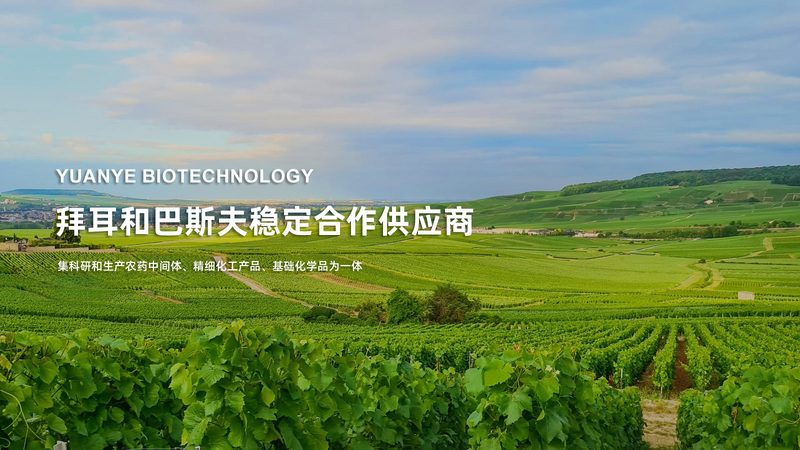 细胞工厂：揭秘生物医药产业的核心驱动力**