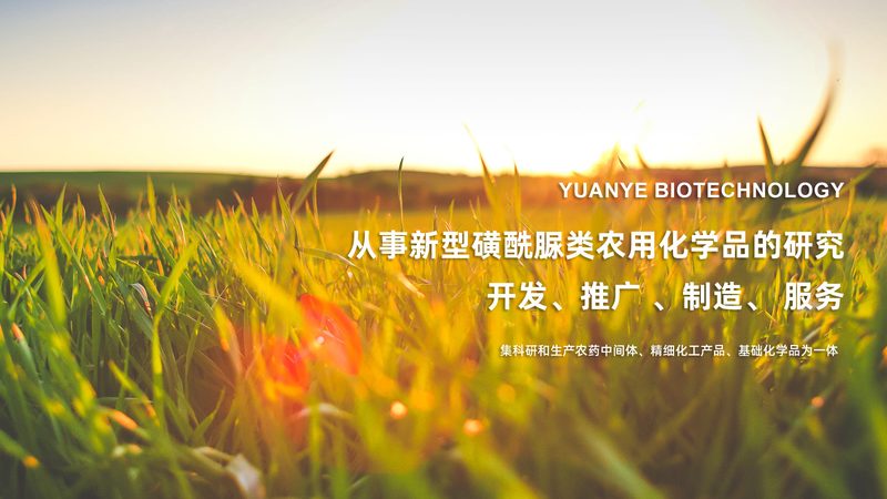 CM细胞培养皿规格：如何选择适合的实验室工具**