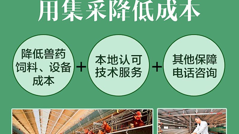 PCR实验室防污染设计：关键要点与实施策略