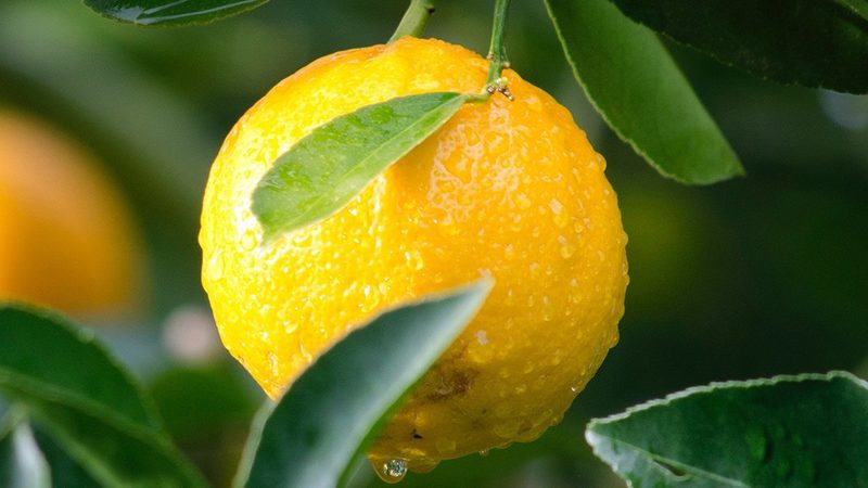 引物合成：生物医药研发的“基石”**