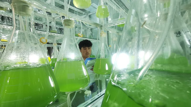 成都生物医药项目风险评估流程解析**